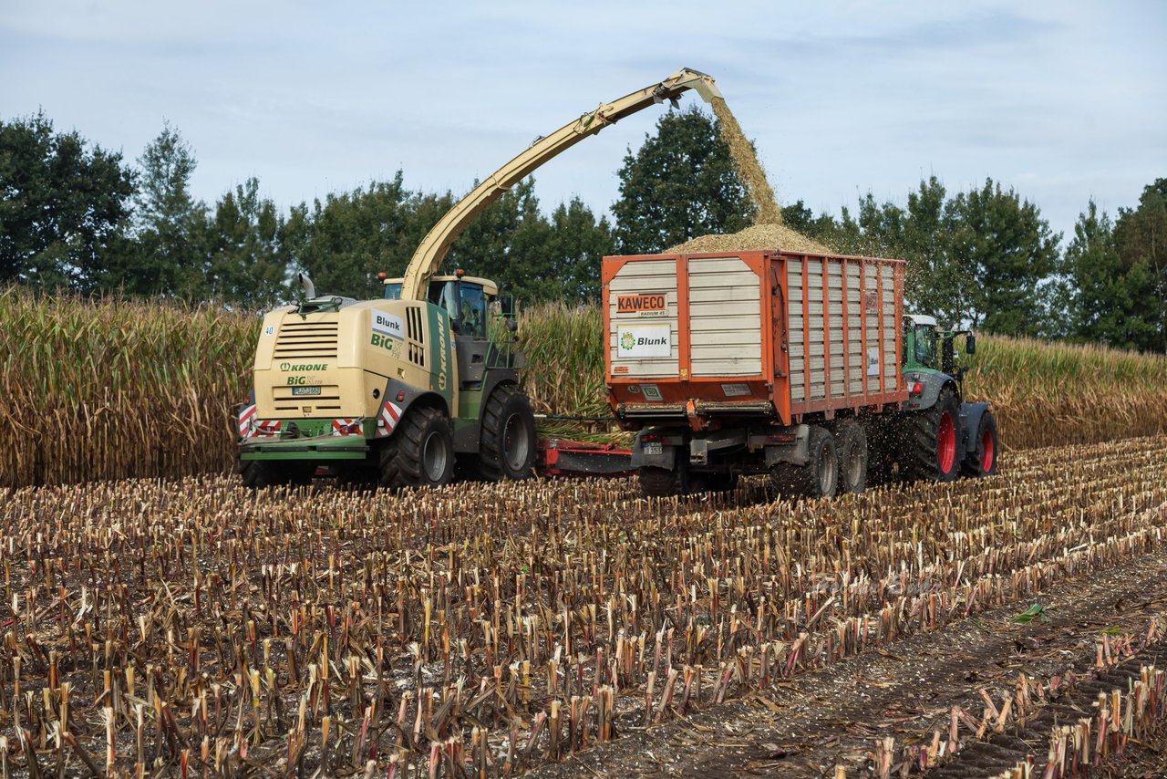 Bild 21 - Maisernte